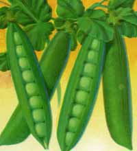 Peas